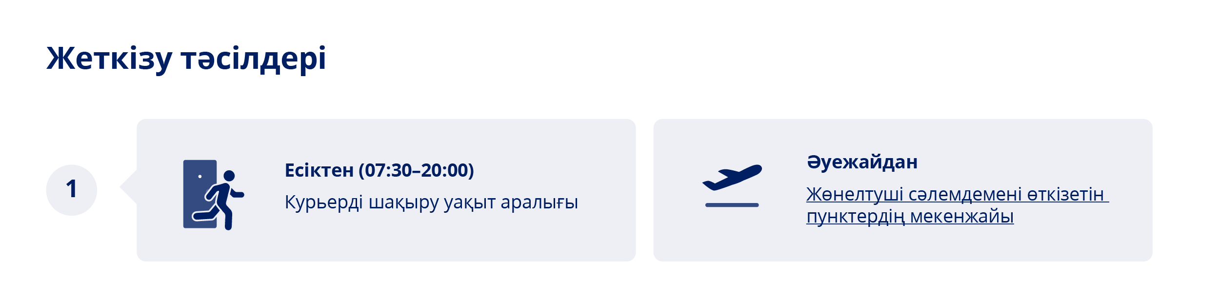 Жеткізу тәсілдері